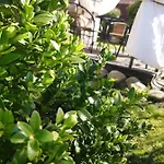 Przy Szlaku Homestay *