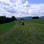 Przy Szlaku *
