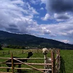 Przy Szlaku Homestay Zabnica
