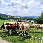 Przy Szlaku Homestay *