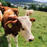 Przy Szlaku * Zabnica