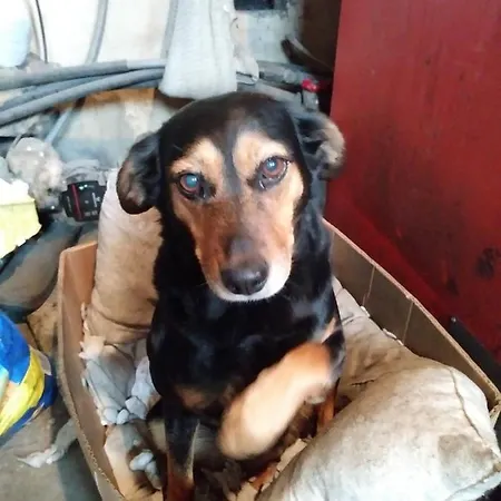 Pokoje Przy Szlaku Agroturystyka منزل للإقامة Zabnica