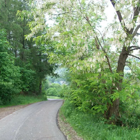 בית אירוח Przy Szlaku Zabnica