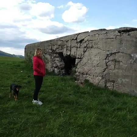 منزل للإقامة Pokoje Przy Szlaku Agroturystyka Zabnica