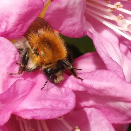 Pokoje Przy Szlaku Agroturystyka * Zabnica