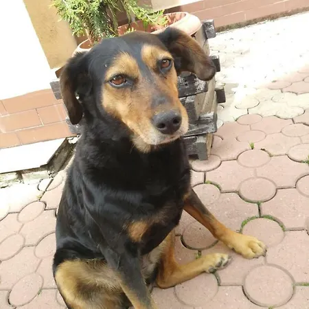 Pokoje Przy Szlaku Agroturystyka * Zabnica