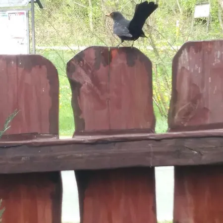 منزل للإقامة Pokoje Przy Szlaku Agroturystyka Zabnica