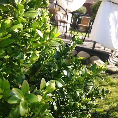 Przy Szlaku Homestay *