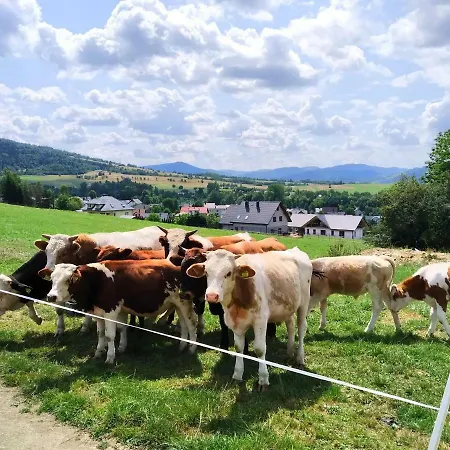 Pokoje Przy Szlaku Agroturystyka منزل للإقامة *