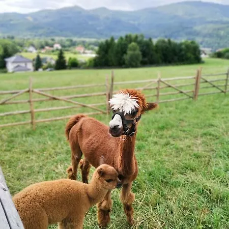 Przy Szlaku Kwatera prywatna