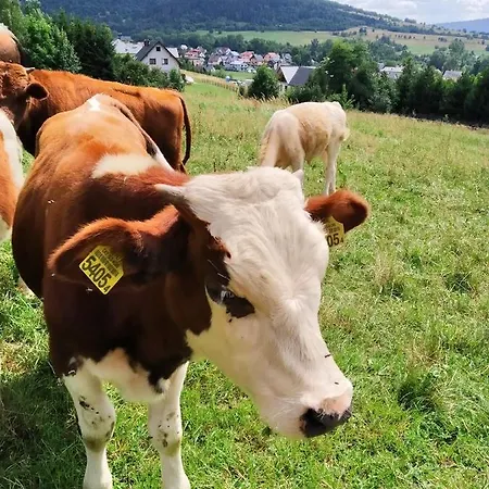Pokoje Przy Szlaku Agroturystyka * Zabnica