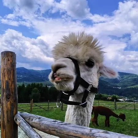 Przy Szlaku Kwatera prywatna *