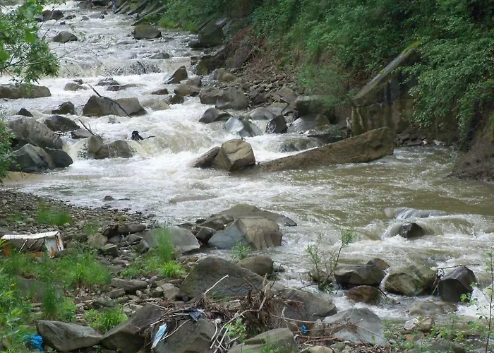 Przy Szlaku בית אירוח *