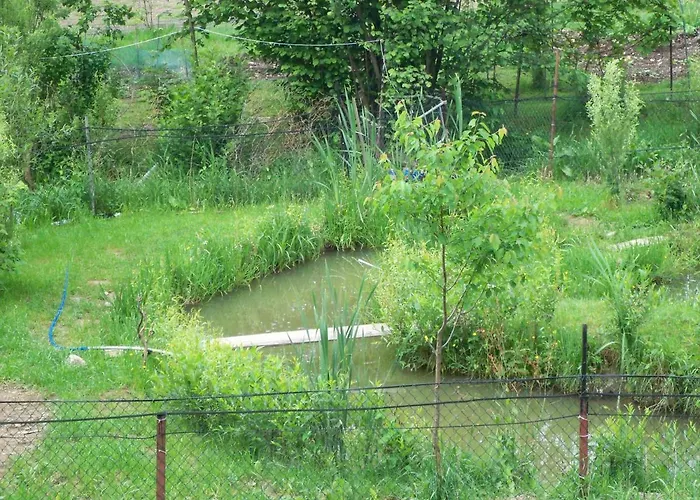 Przy Szlaku * Zabnica