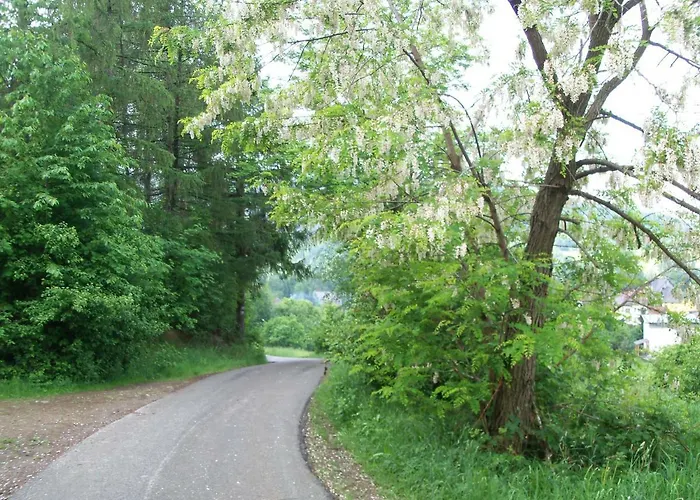 בית אירוח Przy Szlaku Zabnica