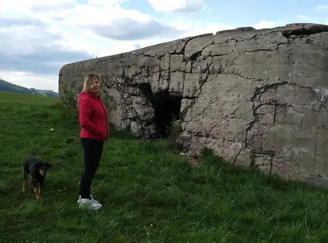 בית אירוח Przy Szlaku Zabnica