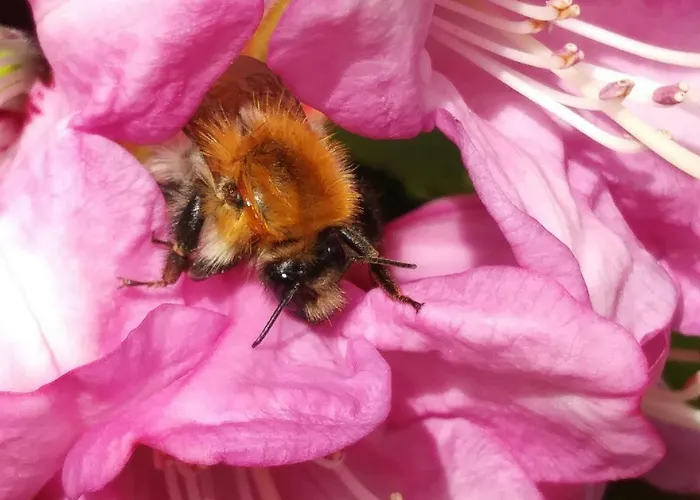 Przy Szlaku * Zabnica
