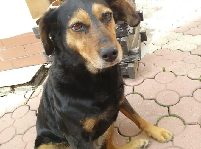 Przy Szlaku * Zabnica