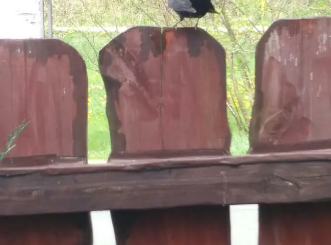 בית אירוח Przy Szlaku Zabnica