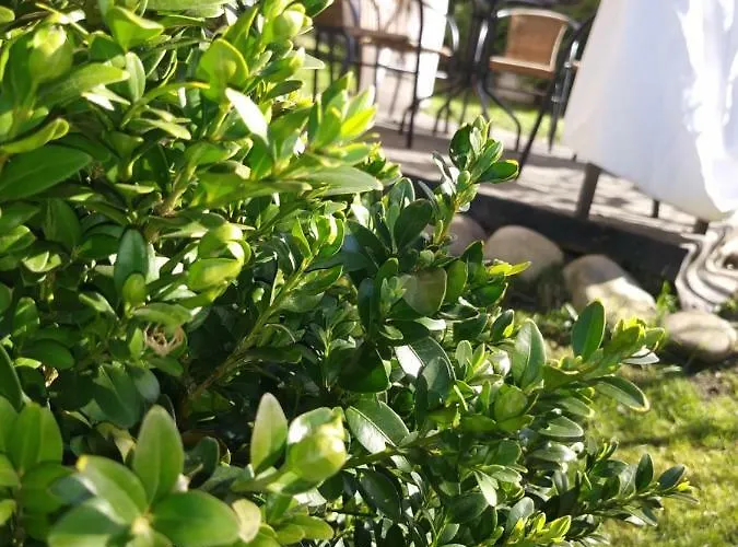 Przy Szlaku בית אירוח *