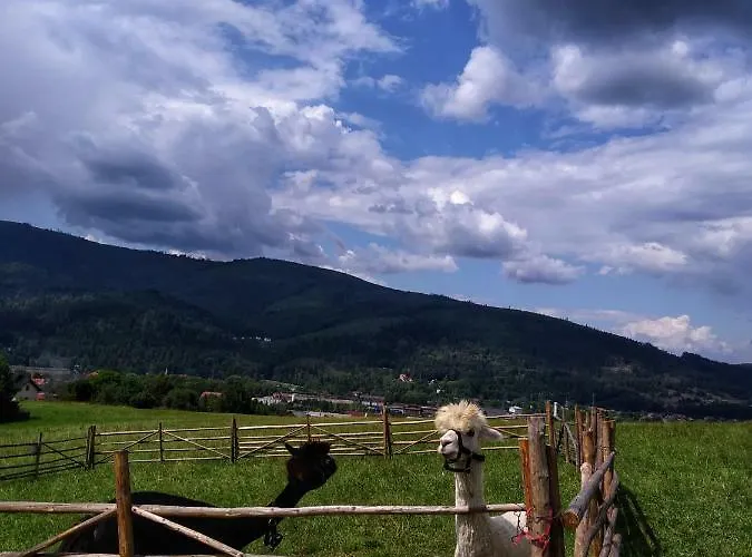Przy Szlaku בית אירוח Zabnica