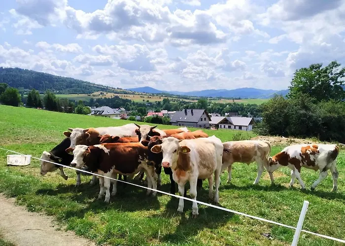Przy Szlaku בית אירוח *