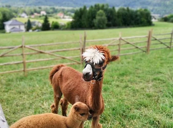 Przy Szlaku בית אירוח