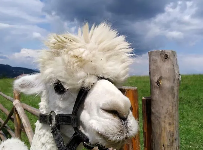 בית אירוח Przy Szlaku Zabnica